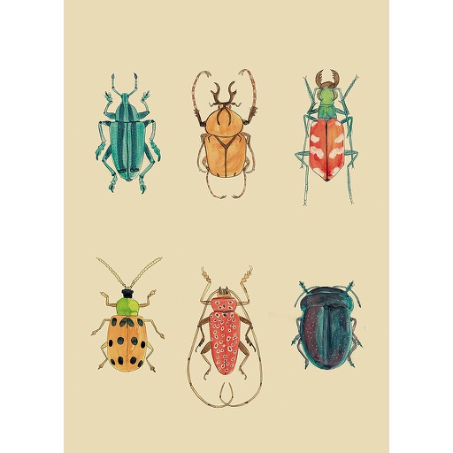 [000009074] 6 Insectes (M)